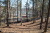 2022-02-20 JP Coleman State Park 006